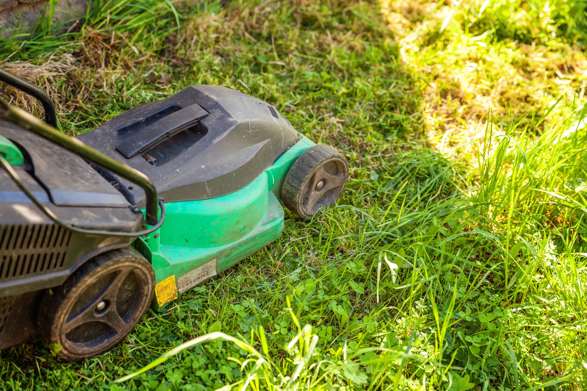 Top Features to Look for in a Rotary Lawn Mower Image
